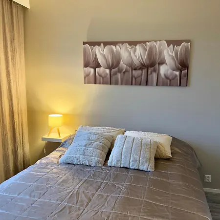 Tyylikaes Kaksio Keskustasta Parkkipaikalla,wifi Διαμέρισμα