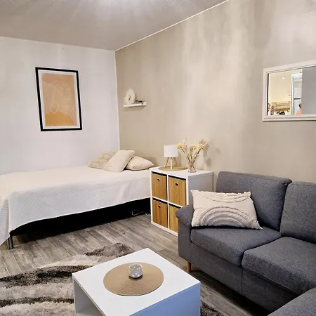 Apartment Tyylikaes Kaksio Keskustasta Parkkipaikalla,wifi Lappeenranta